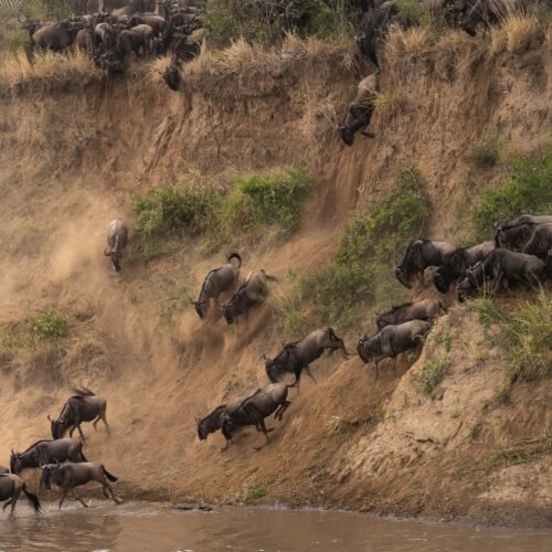 12 Days Tanzania Safari and Zanzibar