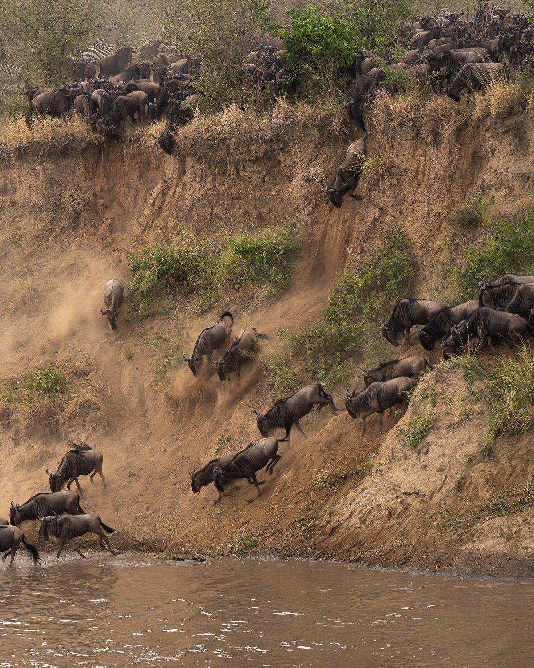 12 Days Tanzania Safari and Zanzibar