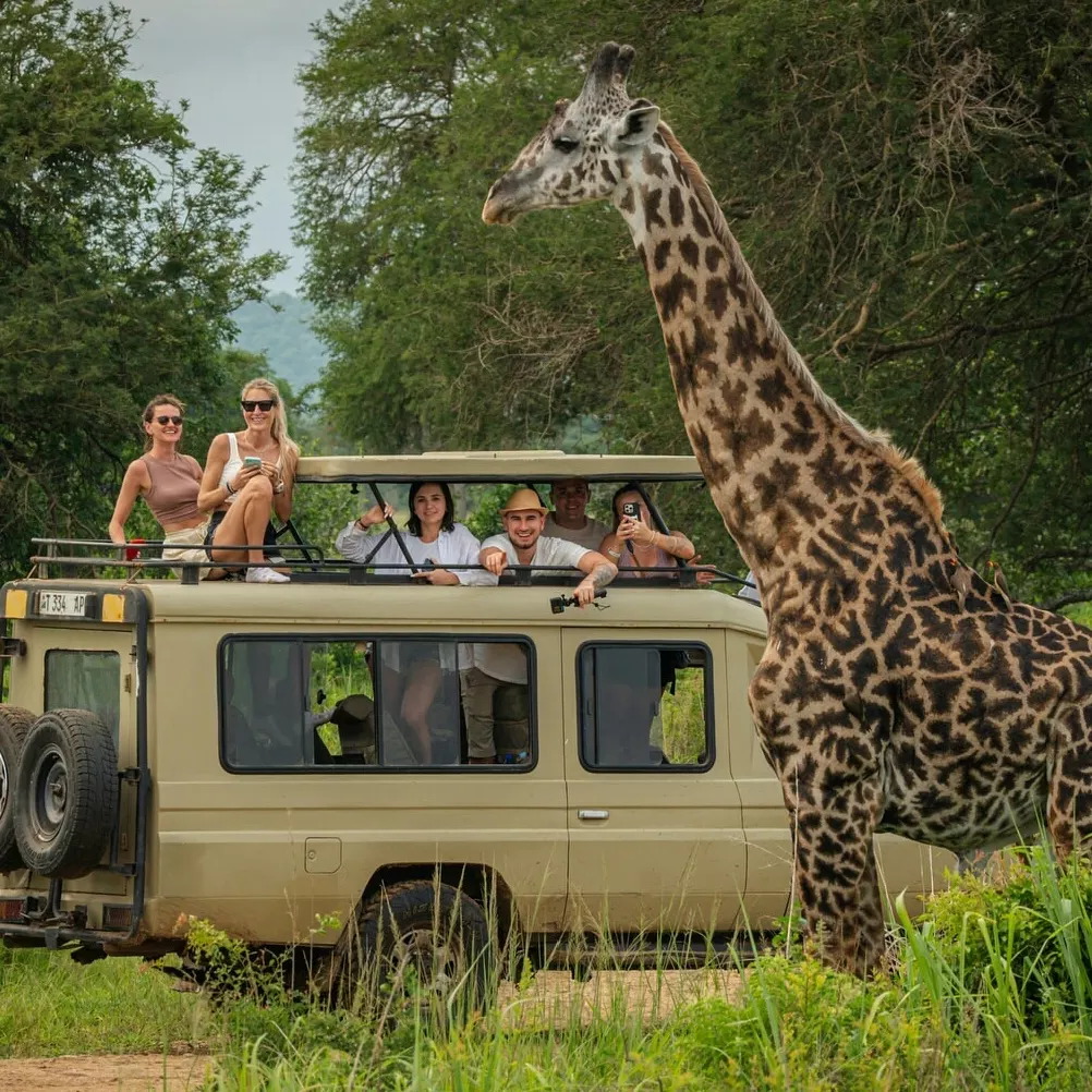 1-Day Mikumi Fly-In Safari vehicle and elephants
